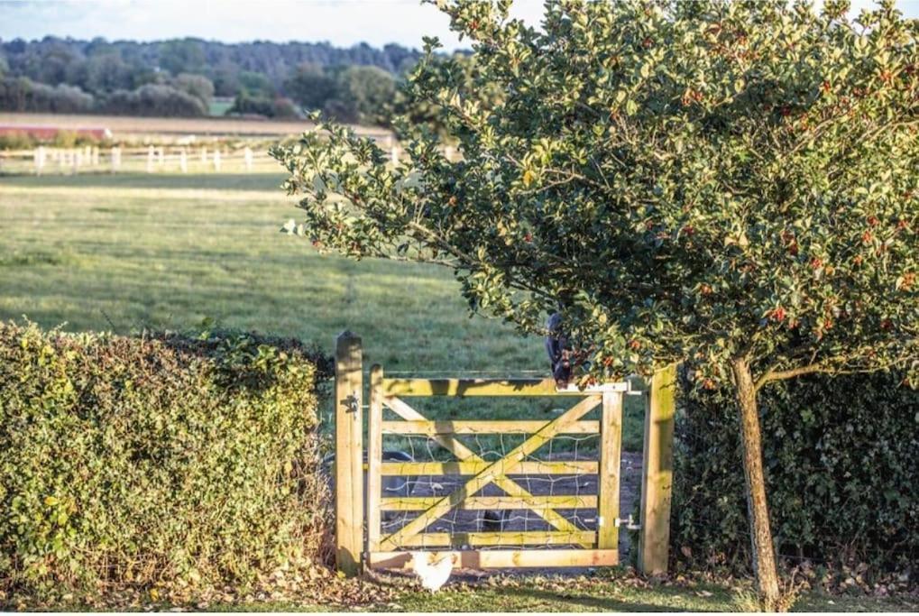 Doeling Barcombe